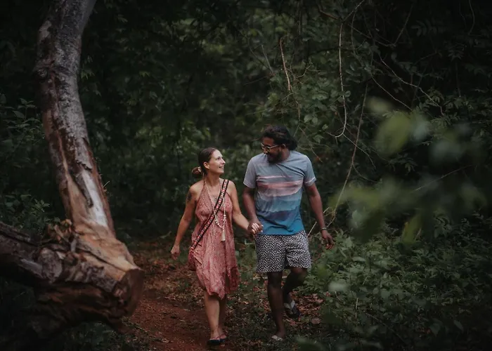 Thenmala Ecoresort
